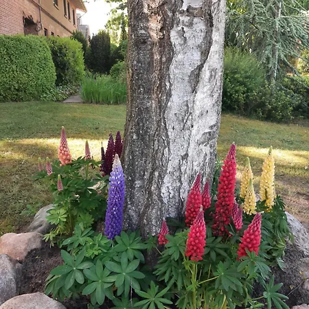 Проживание в семье Huetti's Huette *