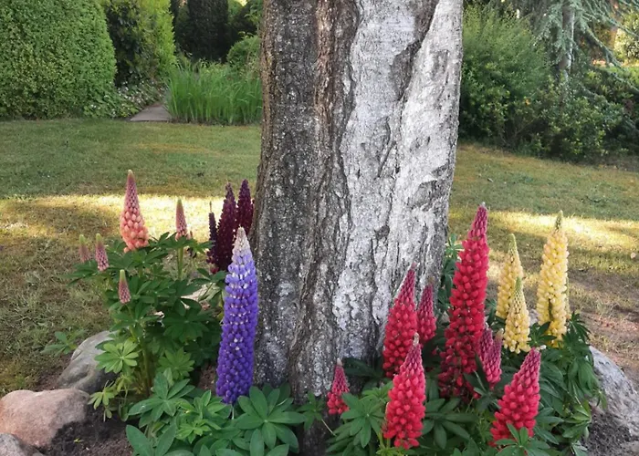 Privat bolig Huetti's Huette *